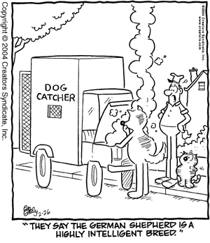 heathcliff